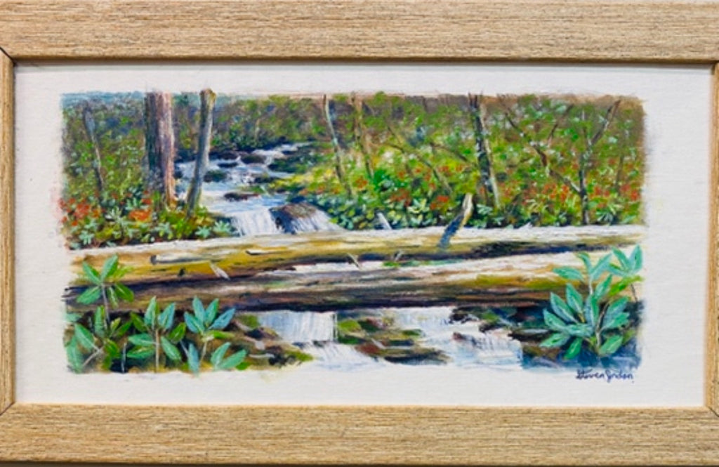 “ Bottom of the Falls “