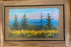 “View From Clingmans Dome “