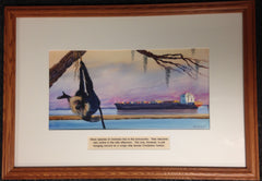 "Hanging Around the Harbor "